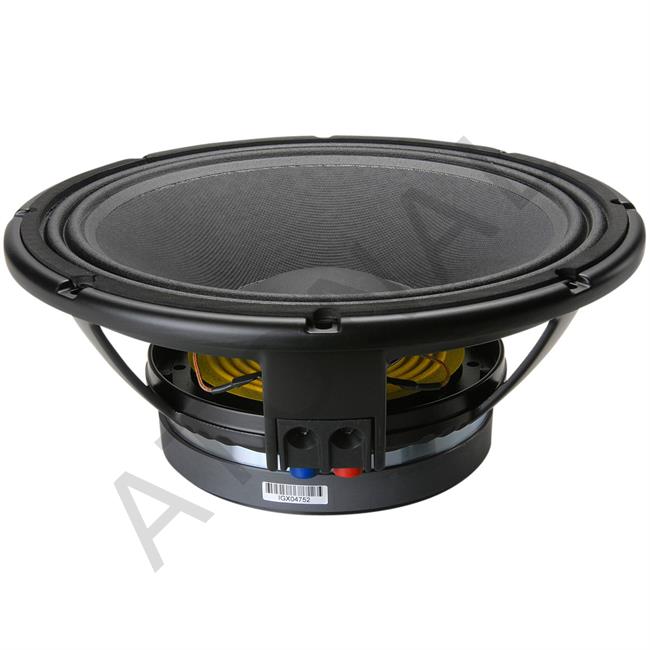 LF12G301 12 inç 450/900W Bass Hoparlör