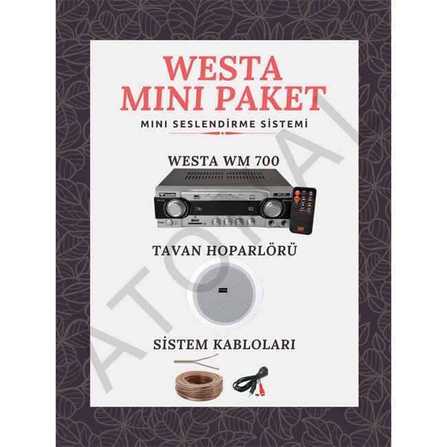 Mini Paket Seslendirme Sistemi