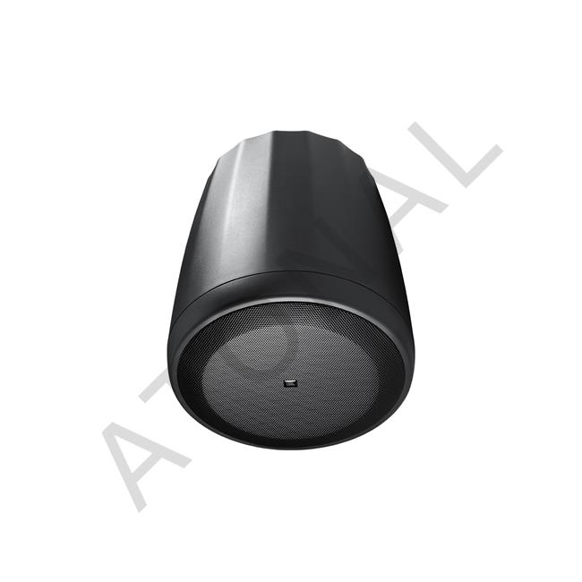 CONTROL C65P/T | Compact Full Range Pendant Speaker